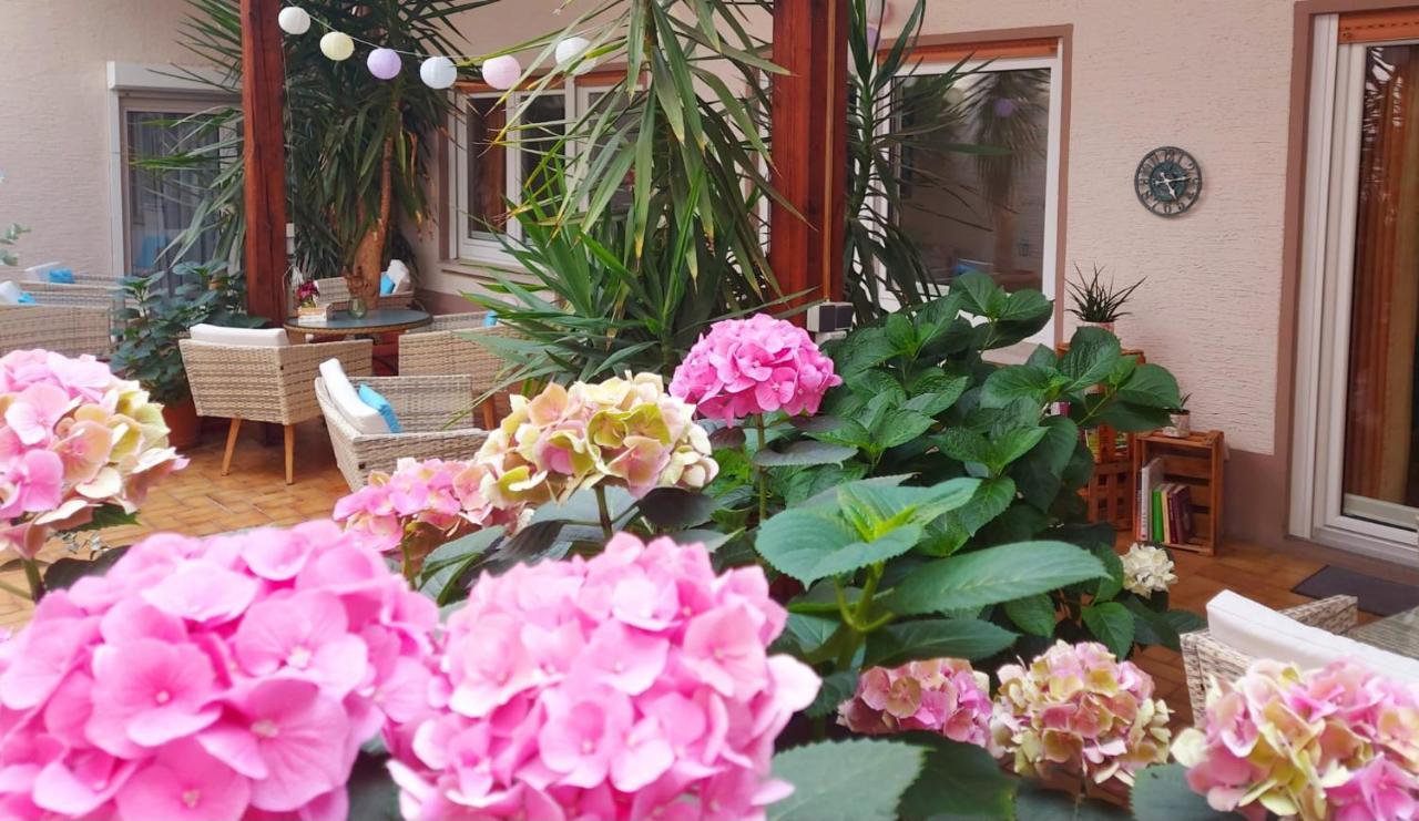 Gaestehaus Roehm Ilbesheim bei Landau in der Pfalz Exterior photo