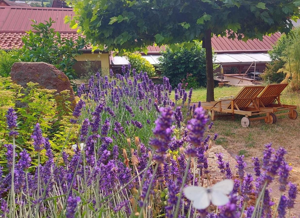 Gaestehaus Roehm Ilbesheim bei Landau in der Pfalz Exterior photo